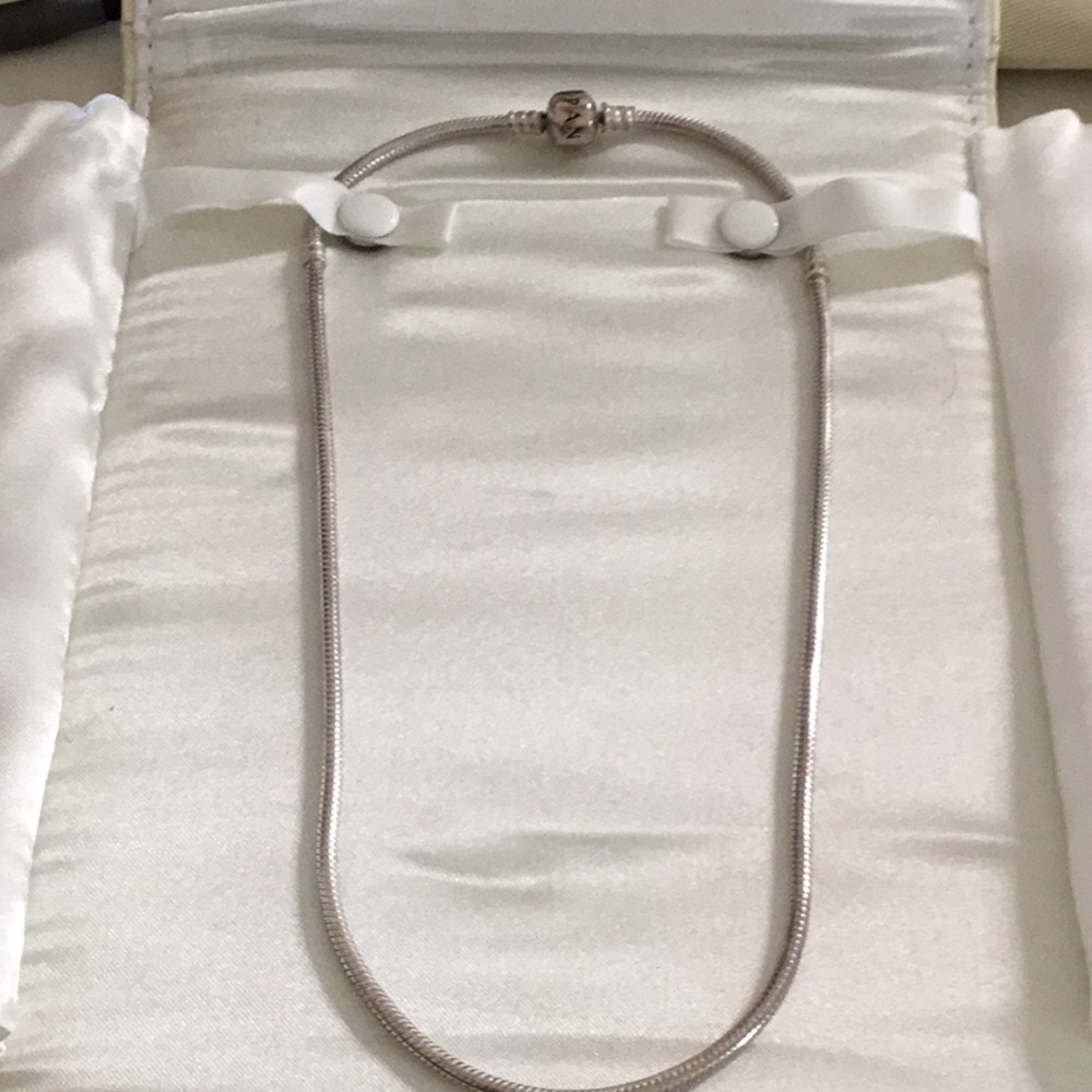 Pandora silver necklace